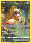 Bidoof - SWSH: Crown Zenith: Galarian Gallery (CRZ:GG)